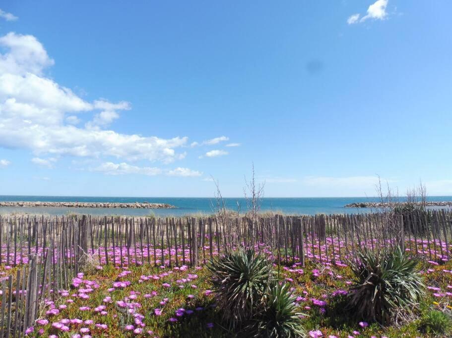 Le Petit Coin De Paradis. Valras-Plage Eksteriør billede