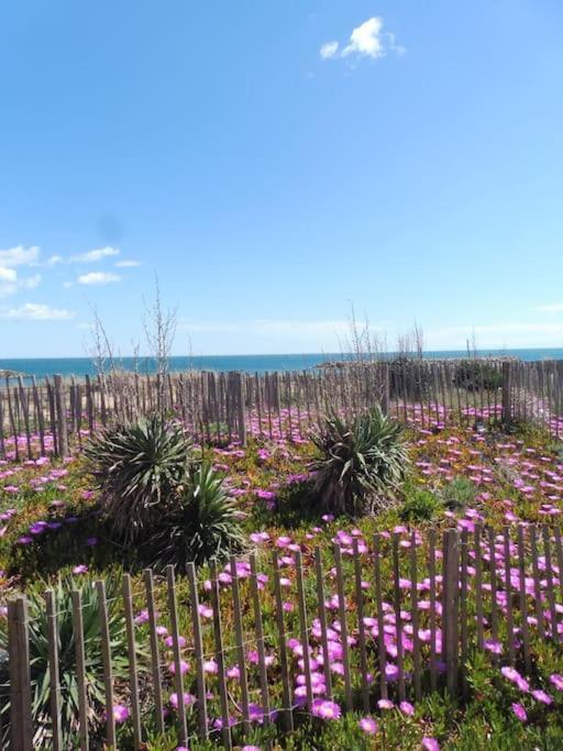 Le Petit Coin De Paradis. Valras-Plage Eksteriør billede